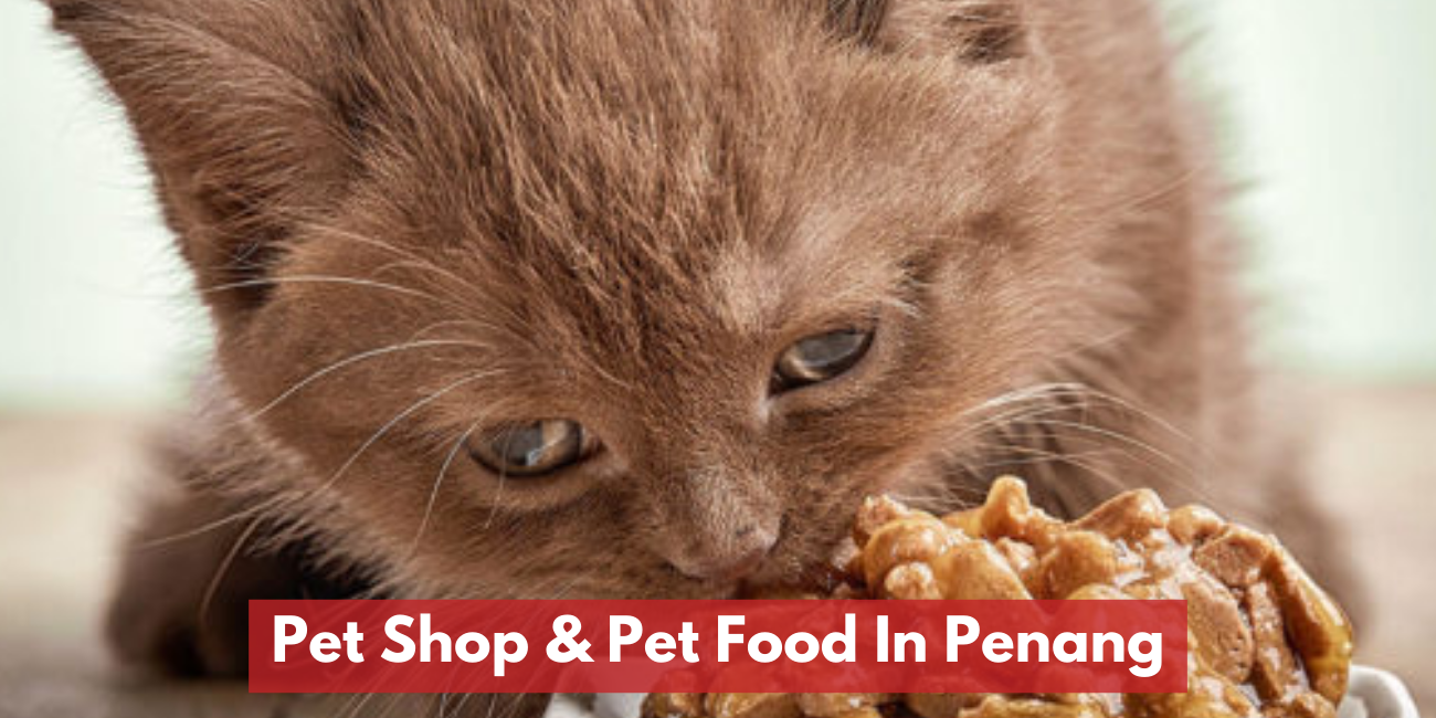 Best Pet Shop & Pet Food In Penang